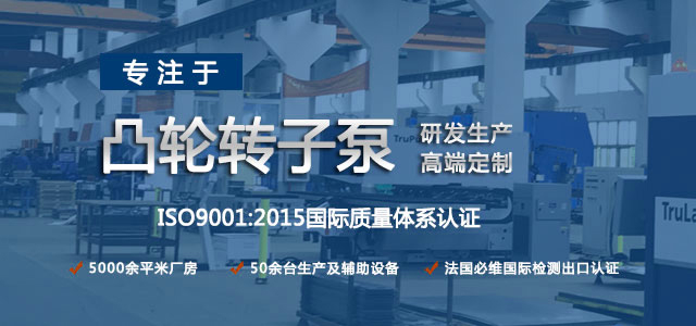 凸輪轉(zhuǎn)子泵生產(chǎn)廠家，專注于凸輪轉(zhuǎn)子泵的研發(fā)生產(chǎn)，高端定制